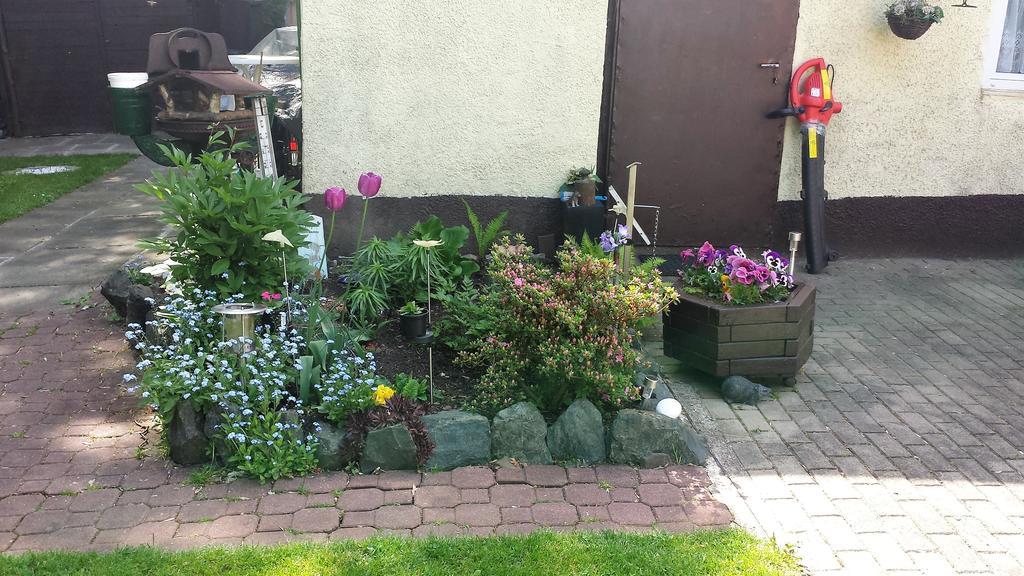 Ferienwohnung Cziesla Bad Sachsa Extérieur photo